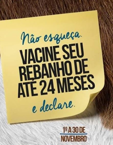 2ª Etapa de Vacinação Contra a Febre Aftosa inicia nesta quinta-feira