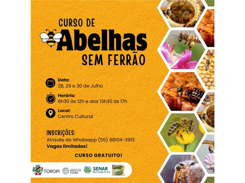 Curso de Abelhas sem Ferrão